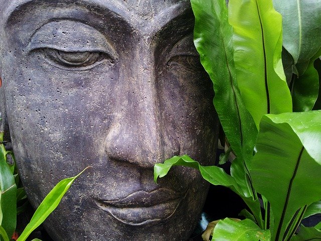 Socha Budhu obklopená zeleným lístím